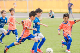 2026国际足联世界杯 室内坐姿健身运动